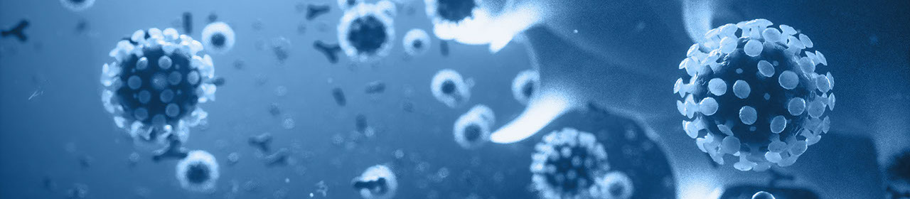 El coronavirus recién descubierto es un coronavirus novedoso mutado (género B), que es nombrado 2019-nCoV por la OMS y SARS-CoV-2 por la ICTV