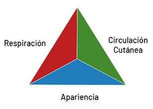 Triángulo de valoración de las Urgencias en Pediatría.