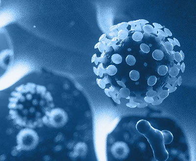 El coronavirus recién descubierto es un coronavirus novedoso mutado (género B), que es nombrado 2019-nCoV por la OMS y SARS-CoV-2 por la ICTV